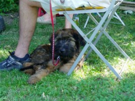 Arbeitswochenende Mathesius-Zeumann - No 2