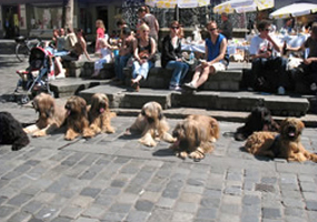 Arbeitswochenende Bayerischer Wald - Juli 2008