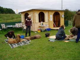 Kämmkurs Bad Staffelstein - 10/2008 - No 1