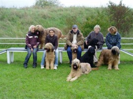 Kämmkurs Bad Staffelstein - 10/2008 - No 2