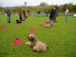 Welpentreffen Bad Staffelstein - 10/2008 - No 1