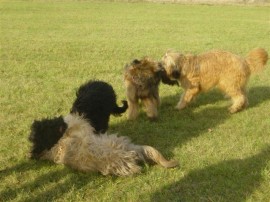 Arbeitstag Bad Staffelstein - 11/2008 - No 1