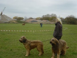 Arbeitstag Bad Staffelstein - 11/2008 - No 2