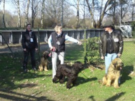 Junghundebeurteilung - 03/2009 - No 1