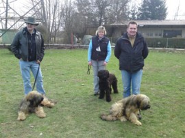 Junghundebeurteilung - 03/2009 - No 2