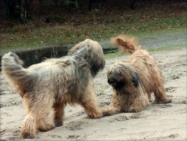 Loca und Dali - 10/2008 Loca und Dali - 10/2008