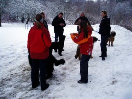 E-Wurf Welpentreffen - 03/2009  - No 1