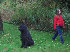 Effendi passt genau auf!