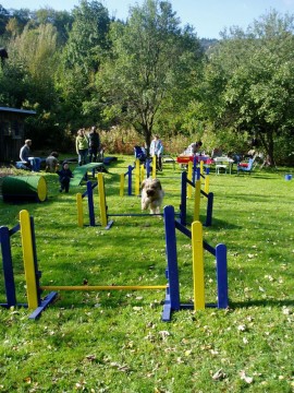 Hürden machen Spaß