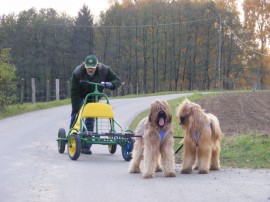 Mach endlich die Bremse los!