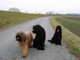 An der Donau An der Donau