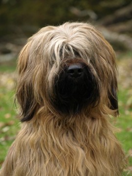 Emilia im Herbst 2009