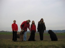 Spaziergang an der Donau Spaziergang an der Donau