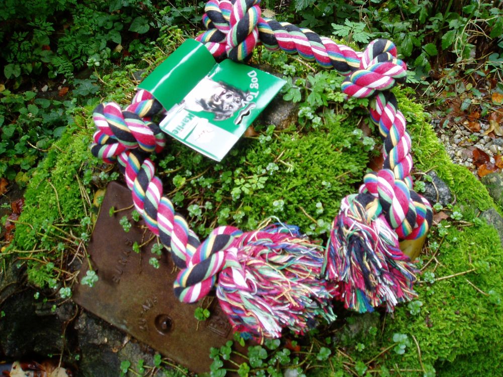 witzige sprüche zum geburtstag opa