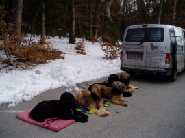 Mondenkinder Januar 2012