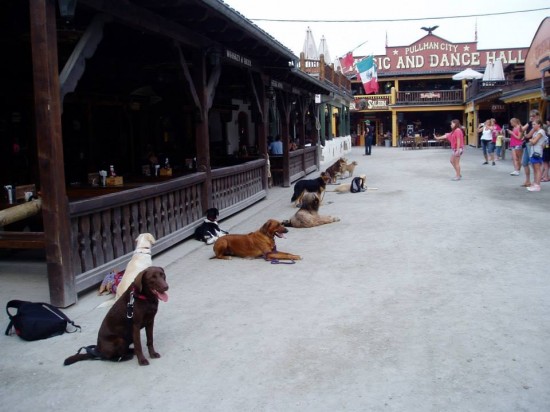 969742_605676236120370_471713398_n