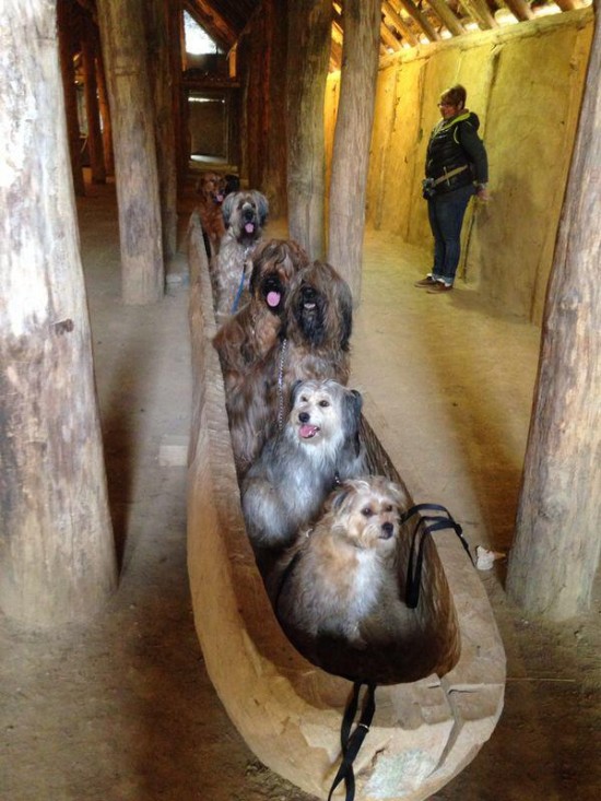 1013549_10203381945094314_1566058975_n (1)