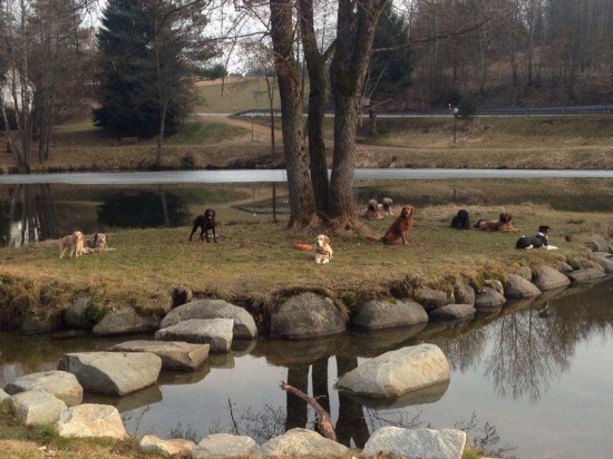 1779159_10203131911763637_922692147_n