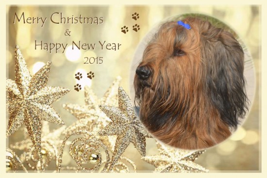 Carlos Weihnachten2014