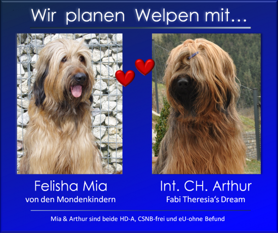 Welpen geplant_2016-01-01